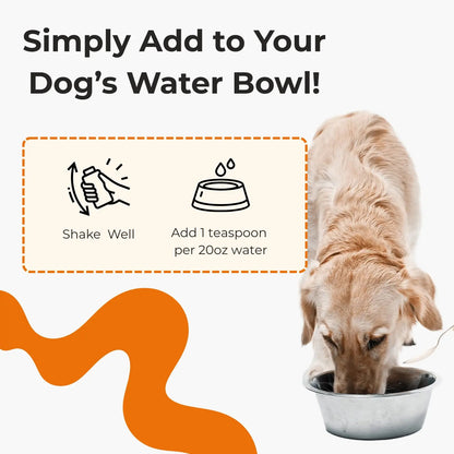 Nivora™ | Calm Dental Care