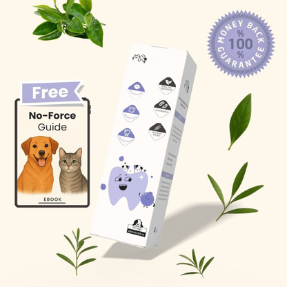 Nivora™ | Calm Dental Care