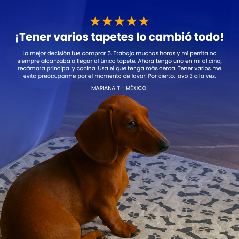 CalmaPad | Odor-Free, Stress-Free