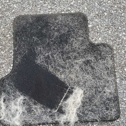 El tapete del coche cubierto de pelo de perro